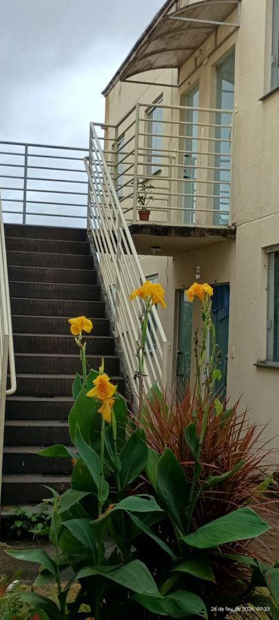 Apartamento - Venda - Candides - Divin�polis - MG