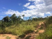 Lote - Venda - Floramar/Candides - Divinópolis - MG