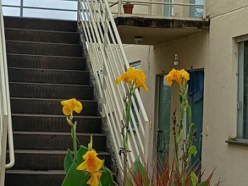 Apartamento � Venda